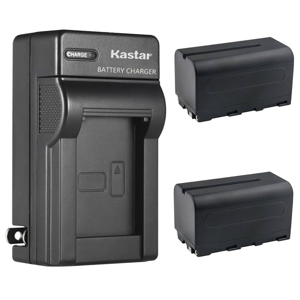 Amazon.com: Kastar 2-Pack NP-F750 / NP-F770 Battery and AC
